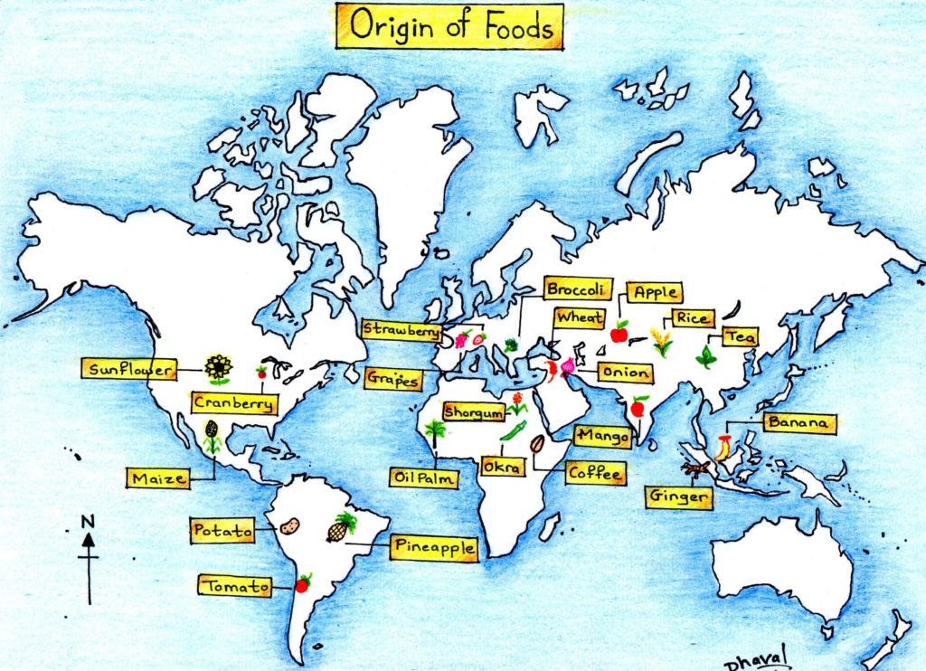 Origin of foods