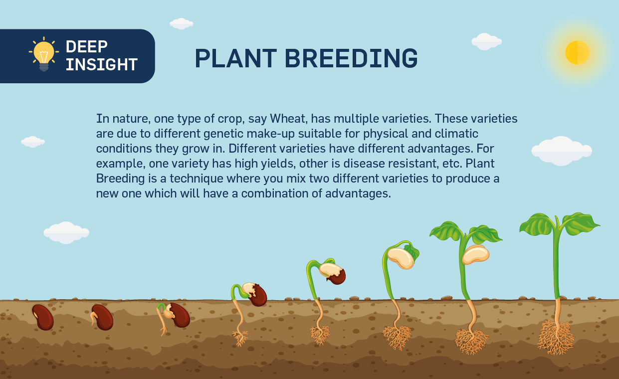 Plant Breeding