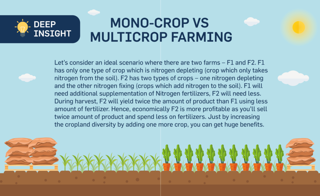 Mono-cropping vs multicropping