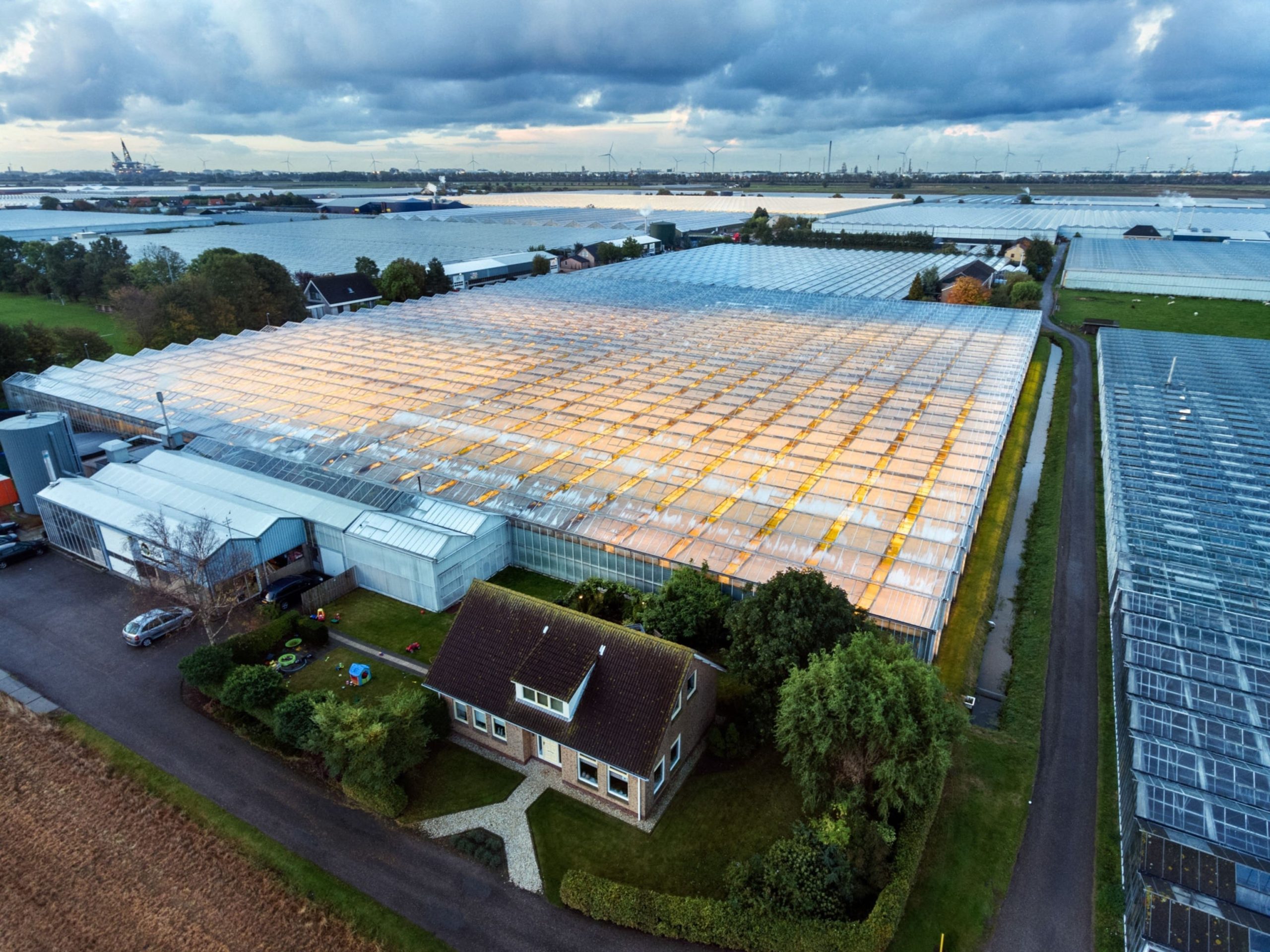 Greenhouses in the Netherlands