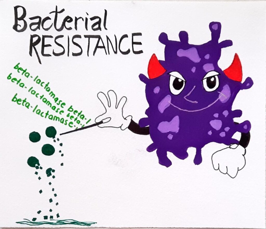 Bacterial Resistance
